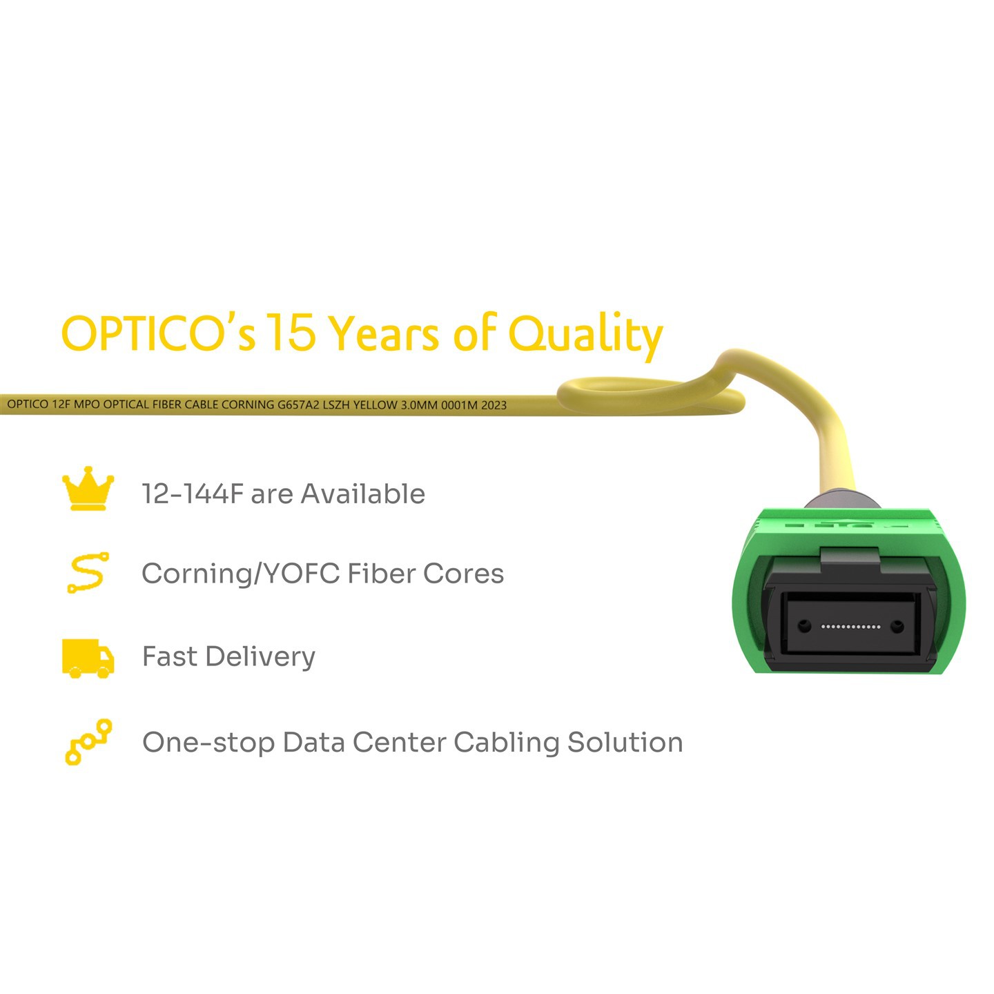 MTP MPO 12FC Fanout Fiber Patch Cable
